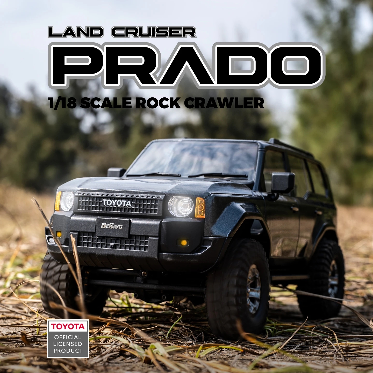 UDIRC 1/18 1/24, modèle réduit - Rc Hobby Grade Truck avis et prix